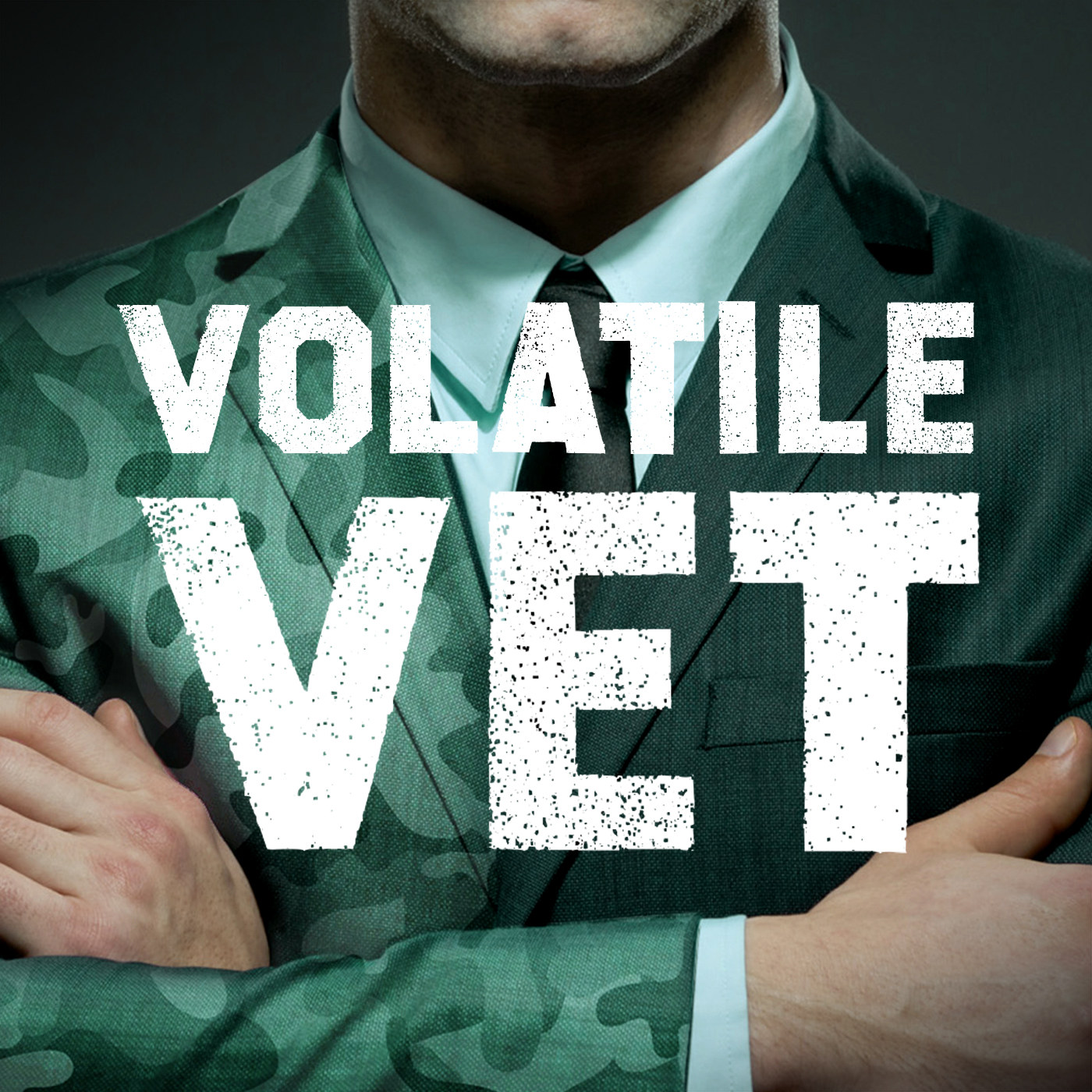 
            The Volatile Vet
        